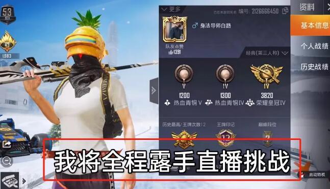 和平精英辅助：辅助软件的辩证视角与游戏公平